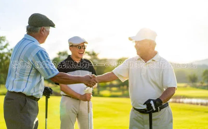 聚焦：体育的无限魅力——cctv运动赛事频道精选时刻