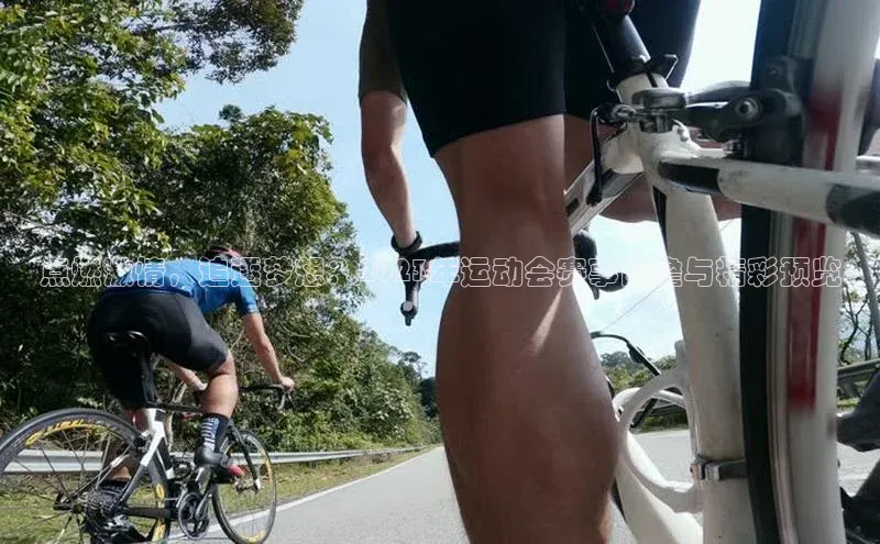 点燃激情，追逐梦想：2023年运动会赛事前瞻与精彩预览