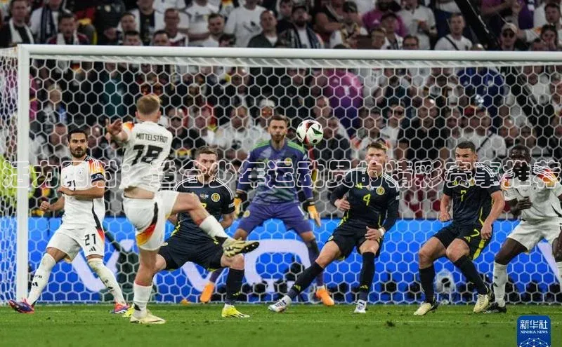 活力四射：适合少年运动员的精彩赛事推荐