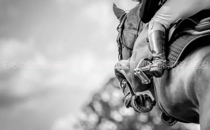 格斗与时尚的完美融合：时尚运动中的格斗搏击赛事时尚运动