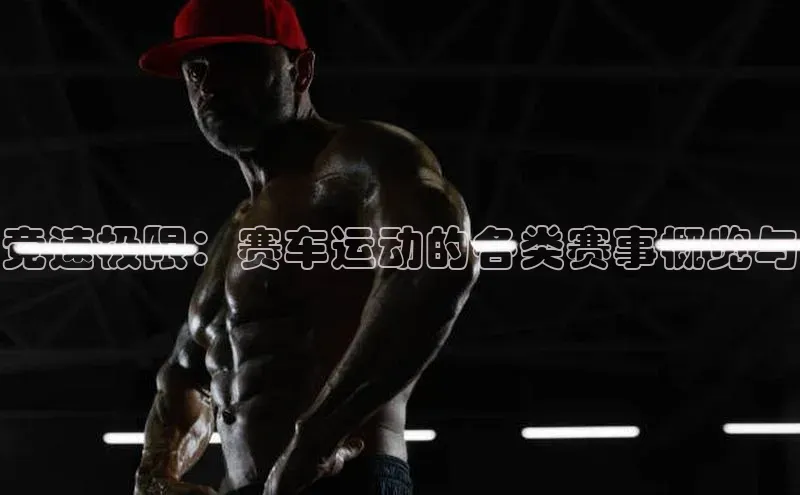 竞速极限：赛车运动的各类赛事概览与