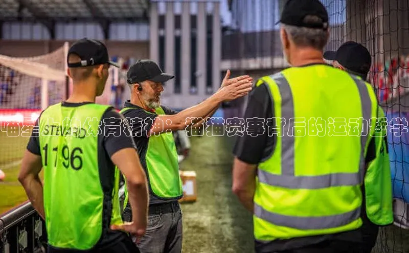 喵星上的体育精神：猫猫赛事背后的运动哲学