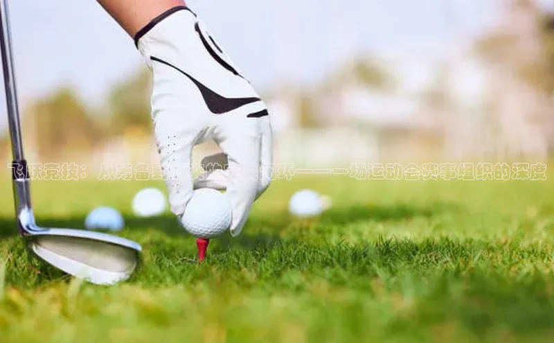 飞跃竞技：从筹备到颁奖的完美闭环——一场运动会赛事组织的深度