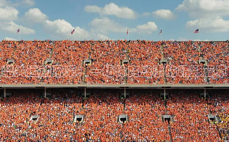 韶关运动风采：一场体育盛事的精彩篇章