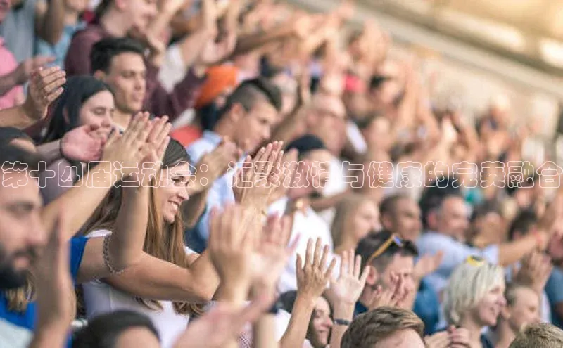 第十四届运动会：汇聚激情与健康的完美融合