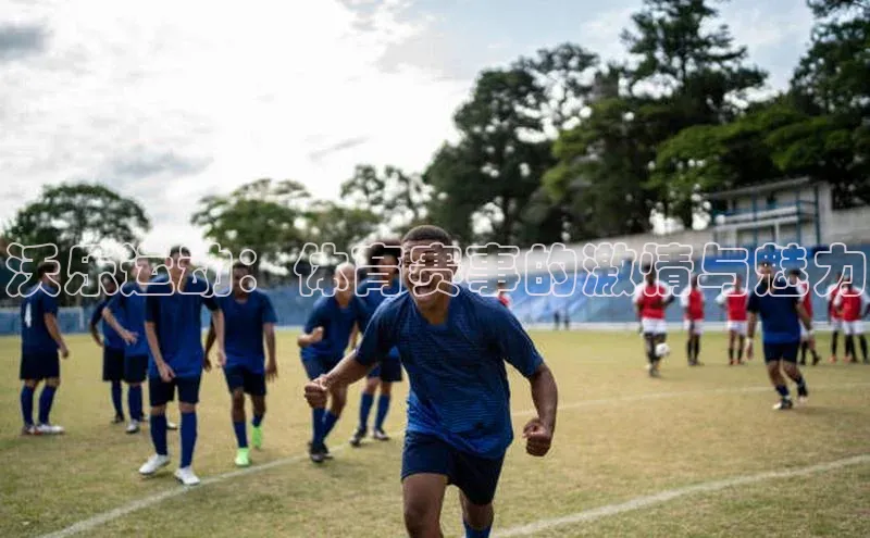 沃乐运动：体育赛事的激情与魅力