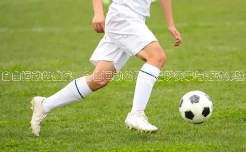 自由运动的盛宴：自由运动公园的精彩赛事与活动体验