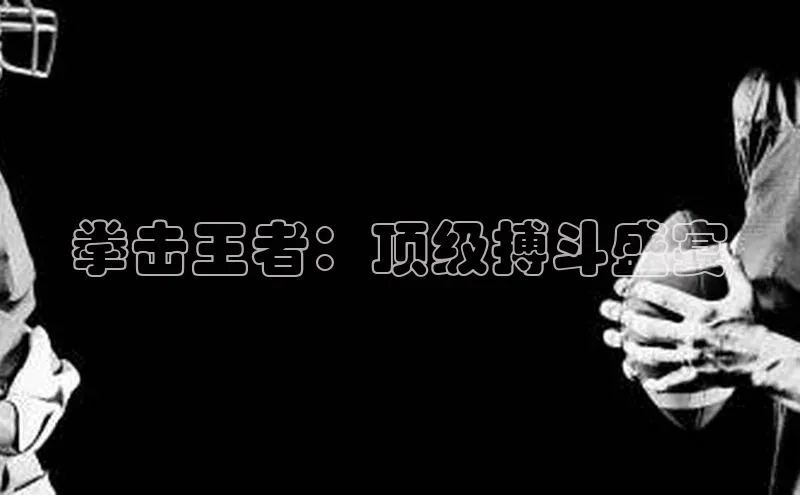 拳击王者：顶级搏斗盛宴