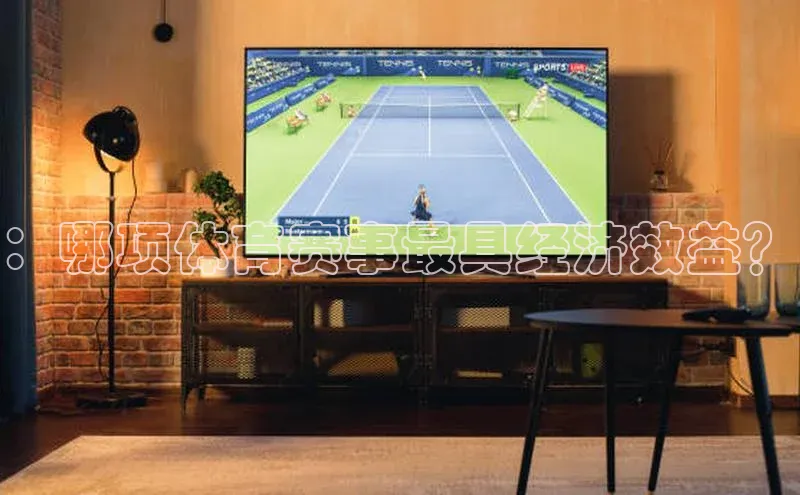 ：哪项体育赛事最具经济效益？