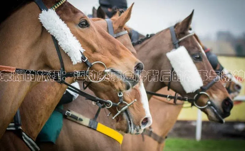 荣耀的旅程：运动赛事金牌背后的故事与精神