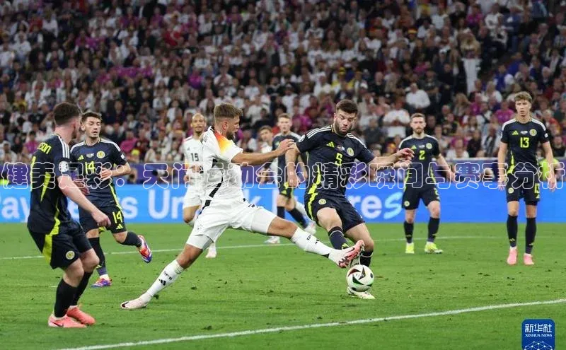 健美足彩：天门运动会的精彩瞬间与赛事分析