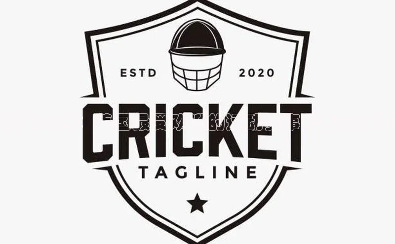 冠军之路：美国最受欢迎的运动赛事背后的故事