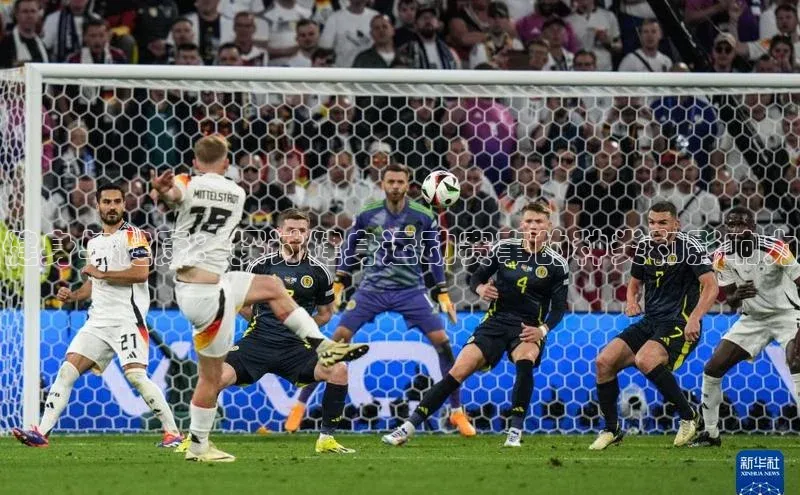 健身与健康：探讨健身运动赛事的种类和影响力