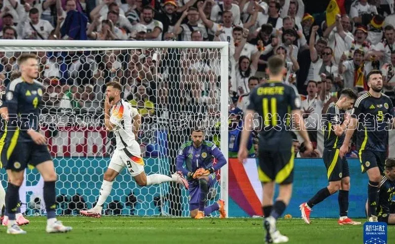 运动赛事观众分析：影响胜负的关键因素和趋势