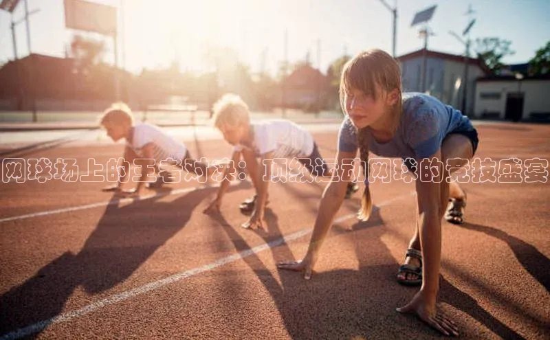 网球场上的王者对决：顶级运动网球的竞技盛宴