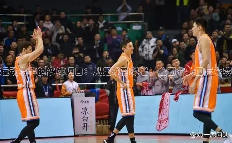 运动赛事的多样项目：从足球到攀岩，全面五大国际竞赛